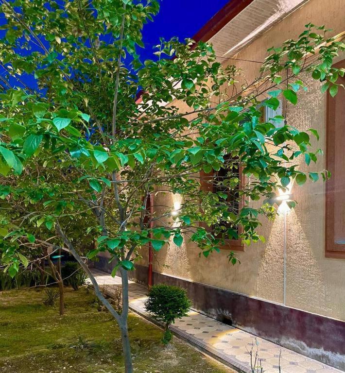 Hotel Amor Fati Taszkent Zewnętrze zdjęcie